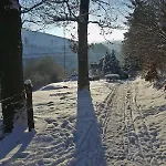 Demberg Schmallenberg
