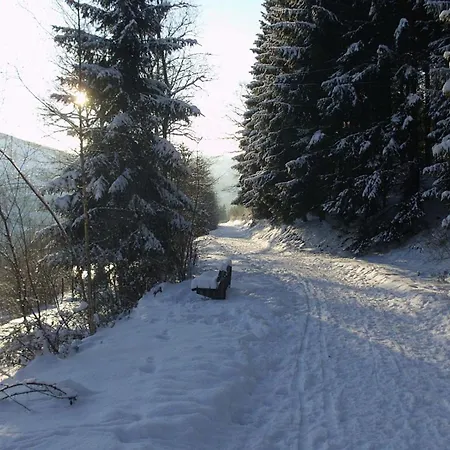 Demberg * Шмалленберг