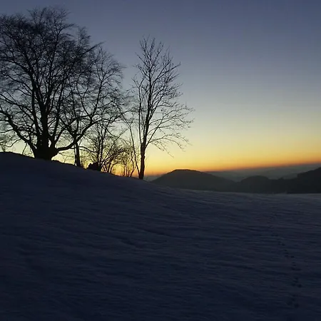 Demberg Апартаменты