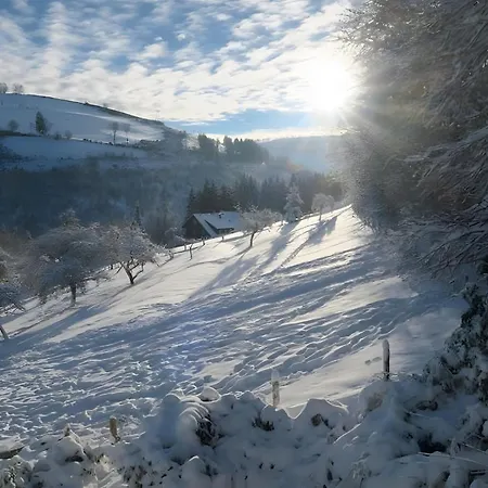 Demberg Шмалленберг