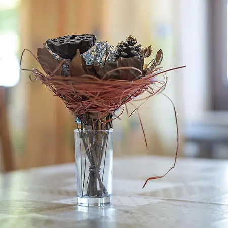 Demberg * Шмалленберг