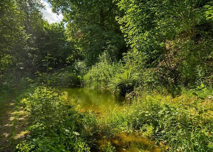 Demberg Appartement Schmallenberg